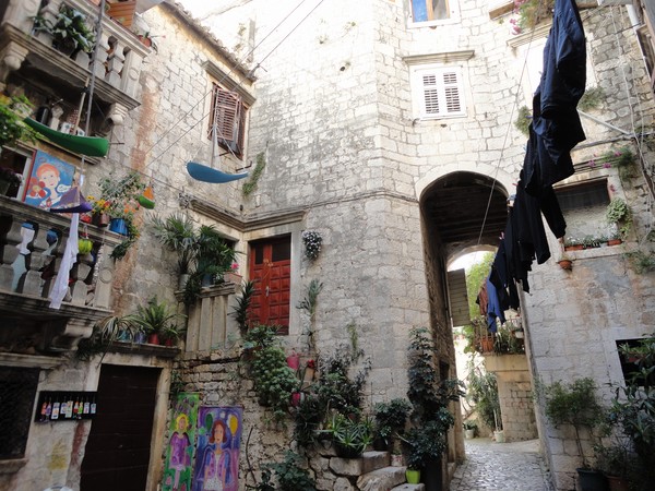 DSC06340 (Copier).JPG