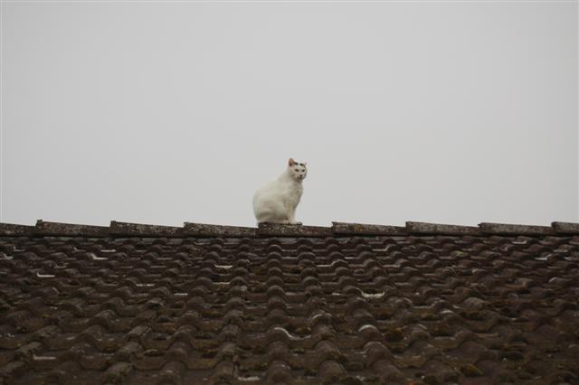 DSC_7588 (Small).JPG