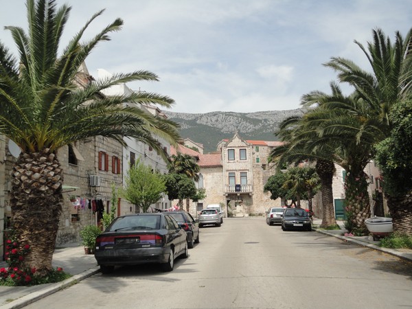 DSC06372 (Copier).JPG