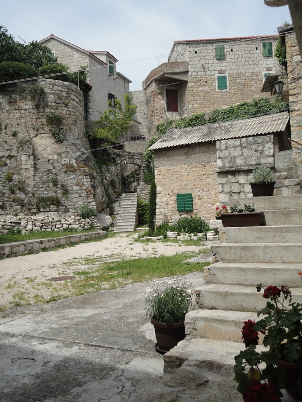 DSC06374 (Copier).JPG