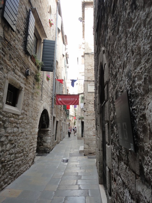 DSC06397 (Copier).JPG