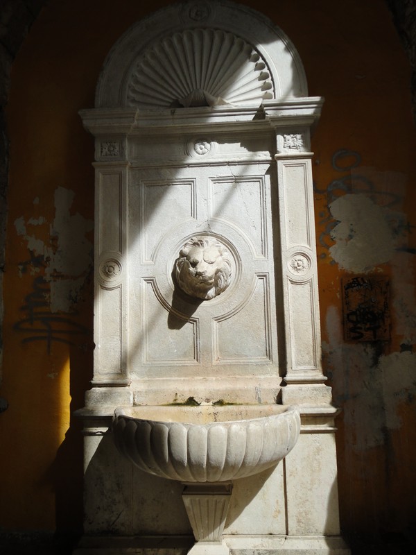 DSC06415 (Copier).JPG