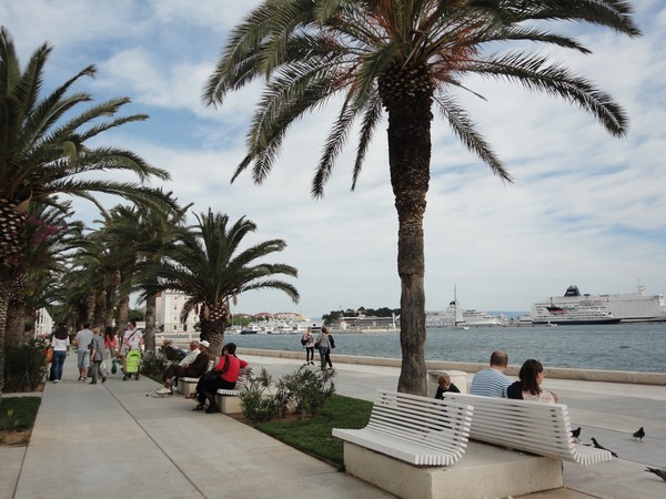 DSC06418 (Copier).JPG