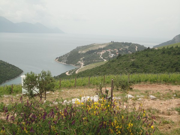 DSC06432 (Copier).JPG