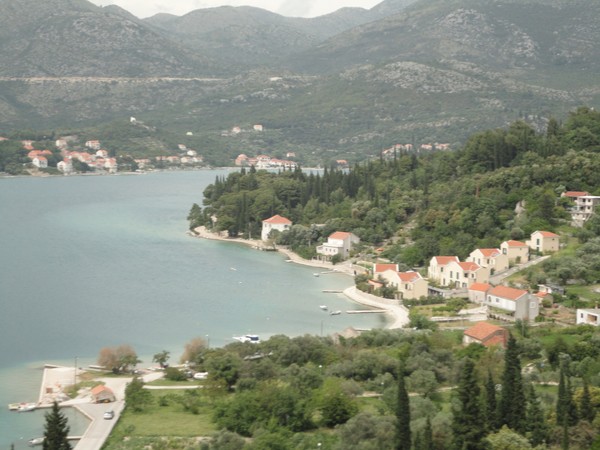 DSC06434 (Copier).JPG