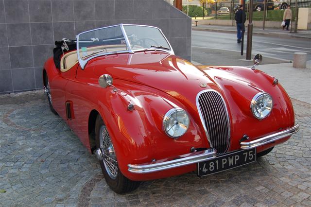 DSC_7598 (Small).JPG