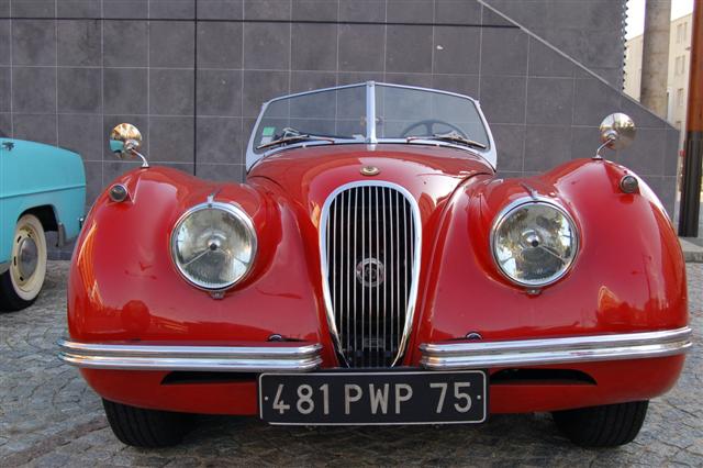 DSC_7607 (Small).JPG