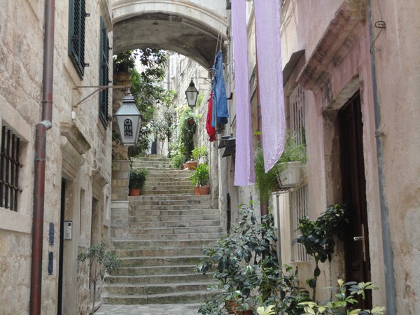 DSC06489 (Copier).JPG