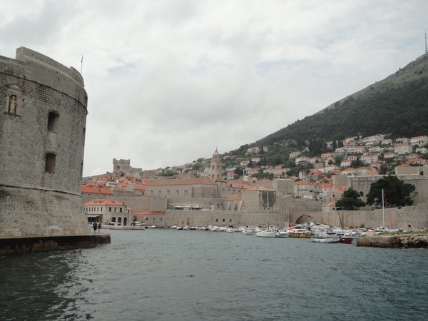 DSC06496 (Copier).JPG