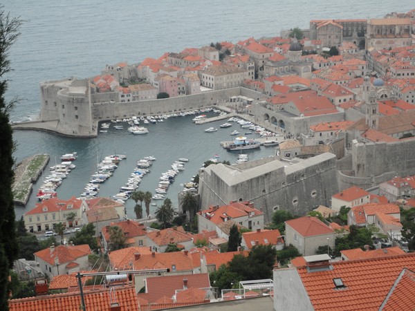 DSC06518 (Copier).JPG