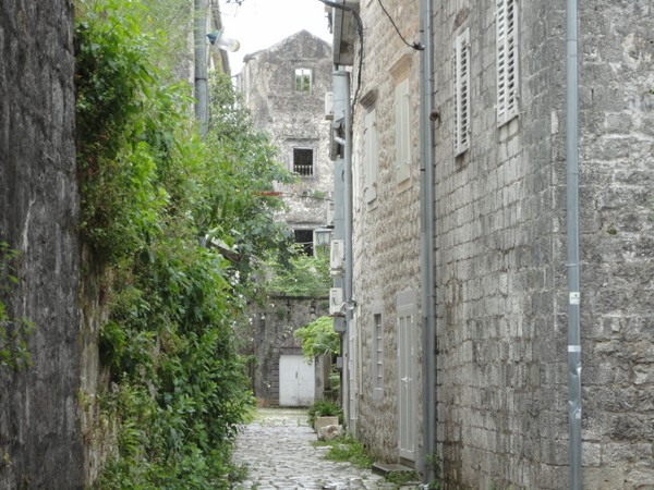 DSC06552 (Copier).JPG