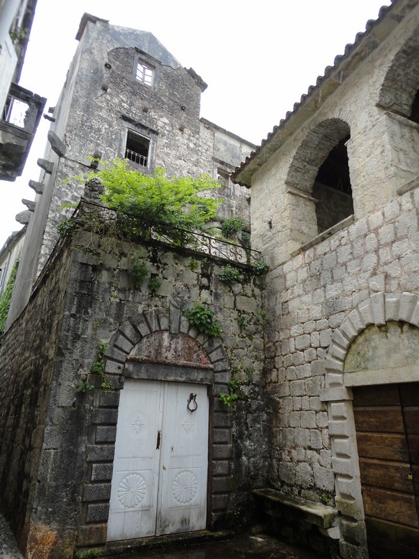 DSC06553 (Copier).JPG