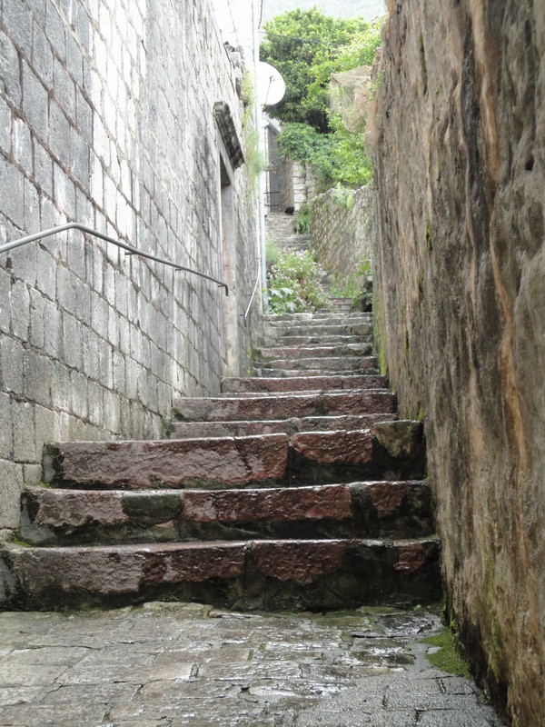 DSC06555 (Copier).JPG