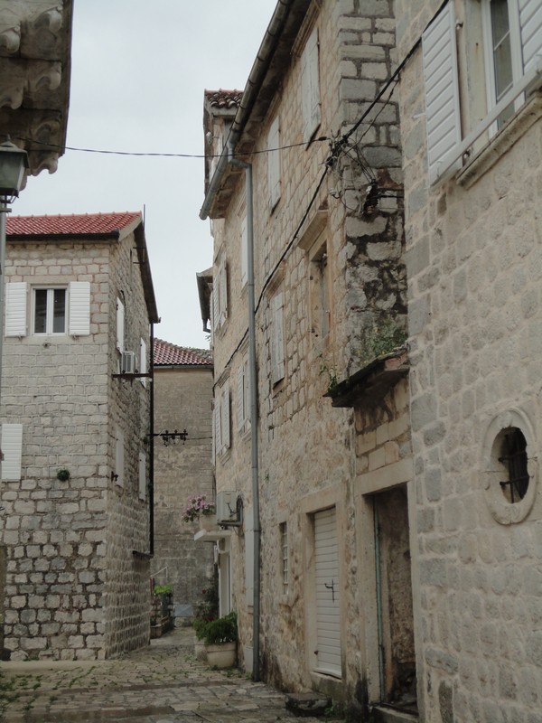 DSC06558 (Copier).JPG