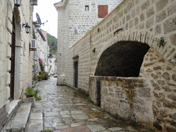 DSC06559 (Copier).JPG