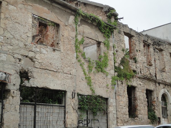 DSC06644 (Copier).JPG