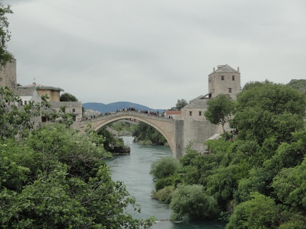 DSC06640 (Copier).JPG