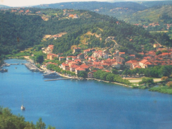 DSC06719 (Copier).JPG