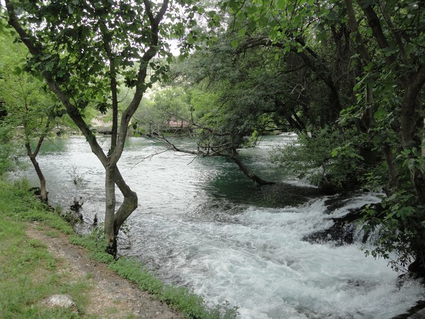 DSC06722 (Copier).JPG