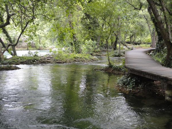 DSC06723 (Copier).JPG