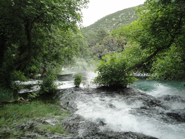 DSC06726 (Copier).JPG