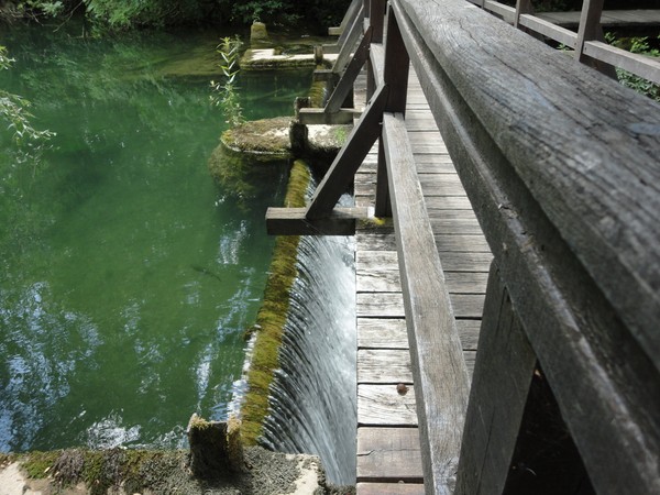 DSC06729 (Copier).JPG