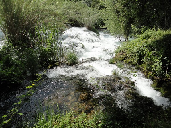 DSC06733 (Copier).JPG