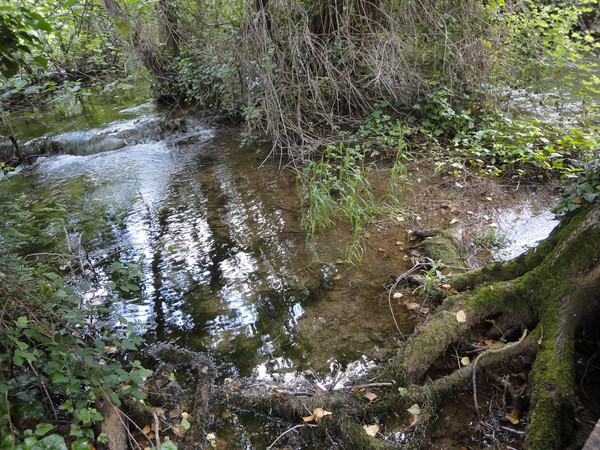 DSC06742 (Copier).JPG