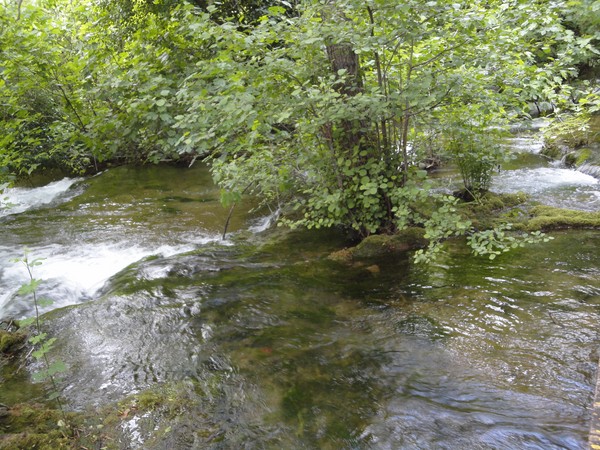 DSC06743 (Copier).JPG