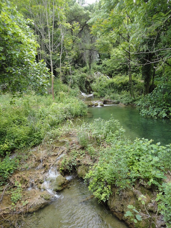 DSC06754 (Copier).JPG