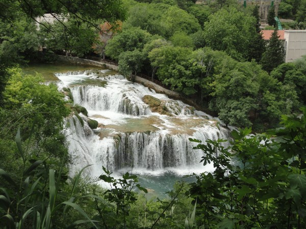 DSC06752 (Copier).JPG