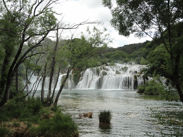 DSC06757 (Copier).JPG