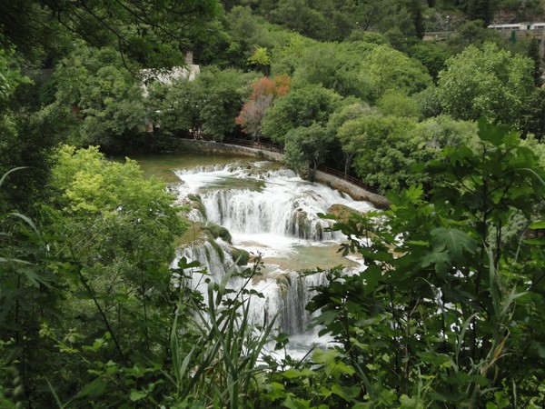 DSC06751 (Copier).JPG