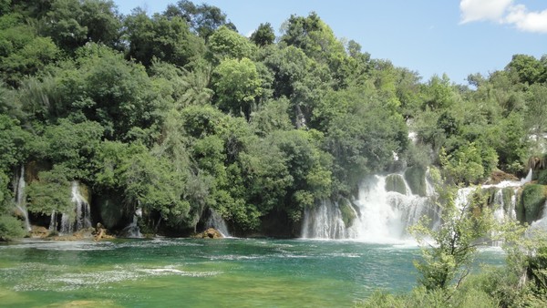 DSC06774 (Copier).JPG