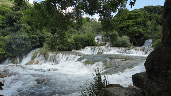 DSC06776 (Copier).JPG