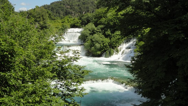 DSC06789 (Copier).JPG