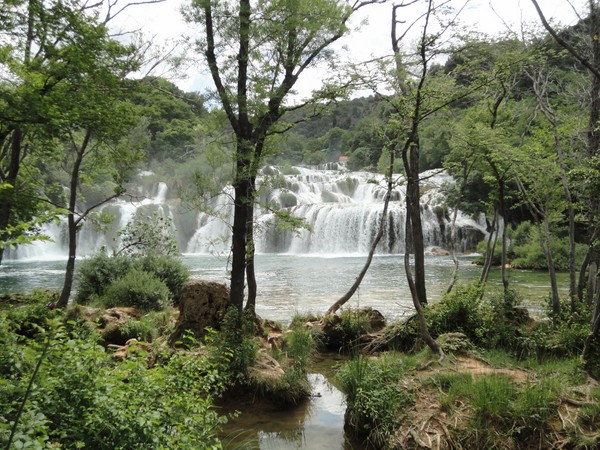 DSC06762 (Copier).JPG