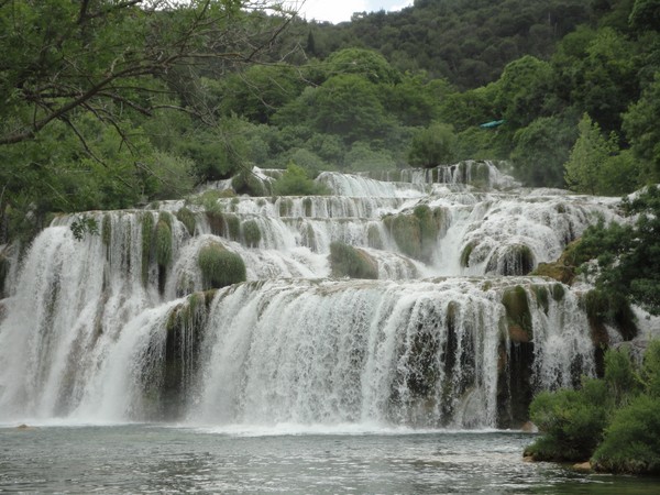 DSC06758 (Copier).JPG