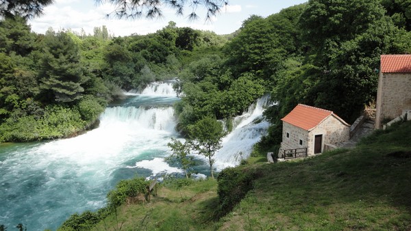 DSC06793 (Copier).JPG