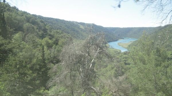 DSC06820 (Copier).JPG