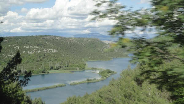 DSC06824 (Copier).JPG