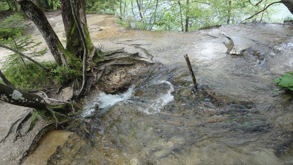 RACINES D'ARBRES /EAU / TROU VERS LE LAC