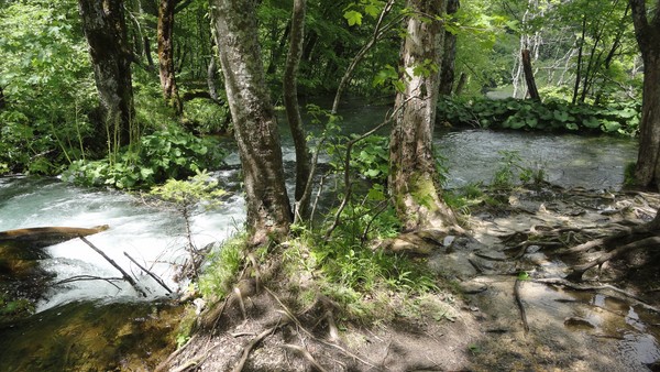 DSC06914 (Copier).JPG