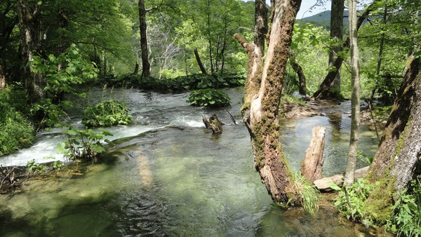 DSC06915 (Copier).JPG