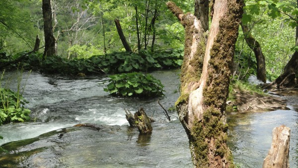 DSC06916 (Copier).JPG