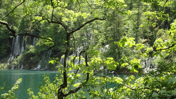 CHUTES DERRIERE LES ARBRES