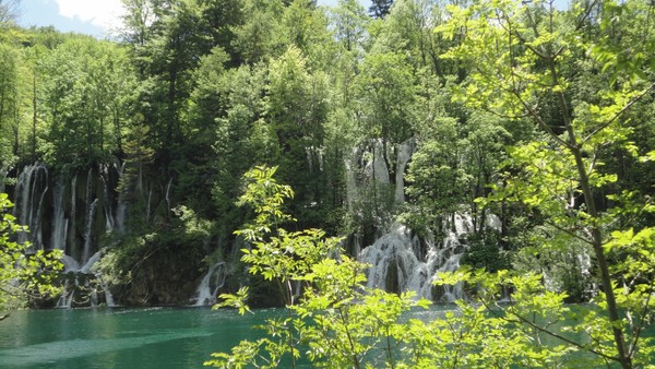 DSC06896 (Copier).JPG