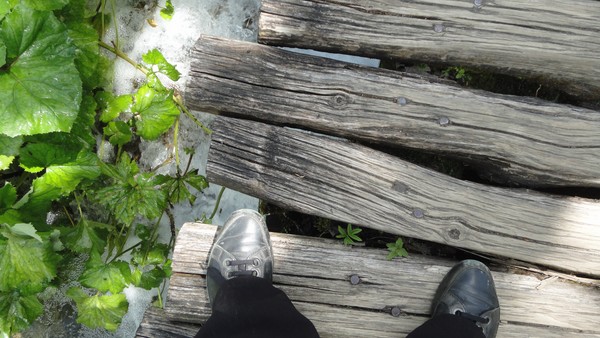 LES PIEDS DE DANIELLE