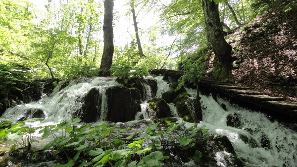 DSC06903 (Copier).JPG