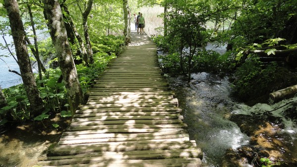 DSC06904 (Copier).JPG